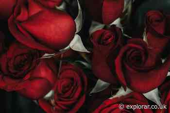 Valentine's Day 2020 events to enjoy in County Durham - ExplorAR Durham Cityguide