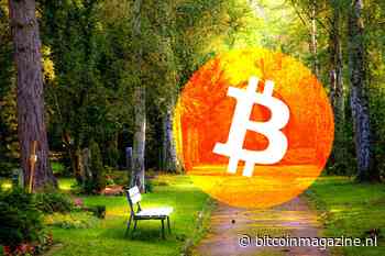 Bitcoin koers maakt sprong naar $10.300, wat zeggen de analisten?