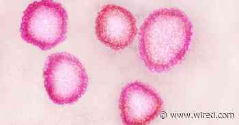 Can a Database of Animal Viruses Help Predict the Next Pandemic?