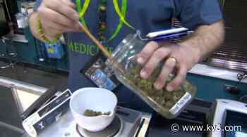 Missouri state senator calls medical marijuana license scoring 'inconsistent' - KY3