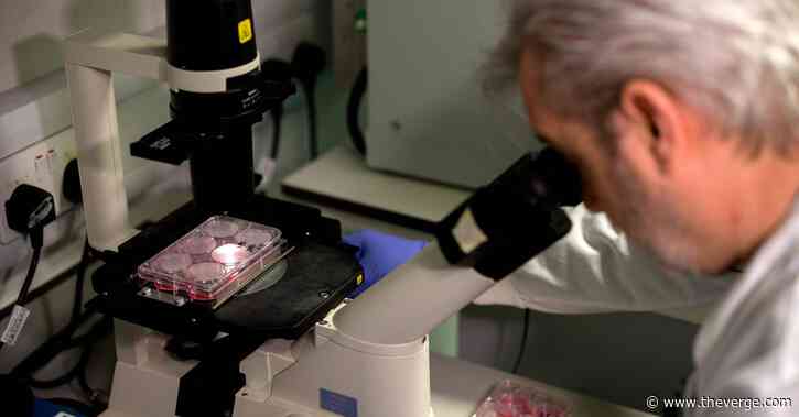 Coronavirus data from outside the outbreak epicenter is just as valuable as from the inside
