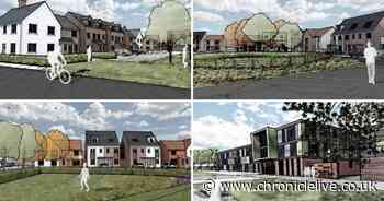 Campaigners lose High Court fight to stop 1,200 more homes being built at Newcastle Great Park