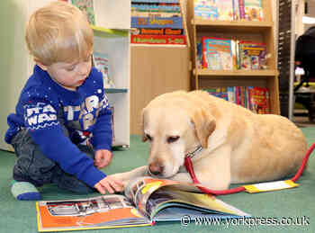 Rosie the dog helps get children reading in Malton library