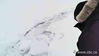 'First time we've heard of this': Wide fissure opens on Arctic sea ice