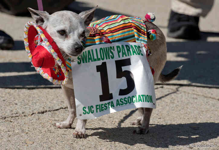 Kids can show off their furry friends Saturday at Los Rios Park
