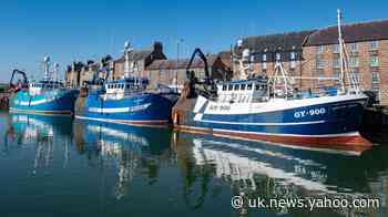 Tory MPs demand ‘complete rethink’ on controversial fishing Catch App