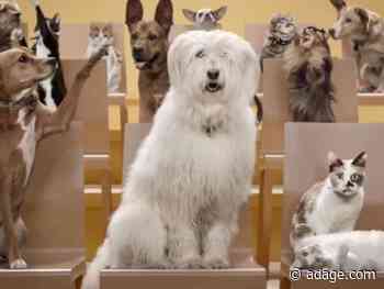 Watch the newest commercials on TV from Chobani, Rachael Ray Nutrish, Popeyes and more