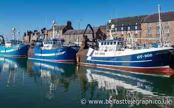 Tory MPs demand ‘complete rethink’ on controversial fishing Catch App