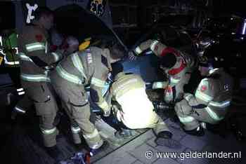 Brandweer haalt halve auto uit elkaar om zwaargewonde, beknelde kat te redden in Arnhem
