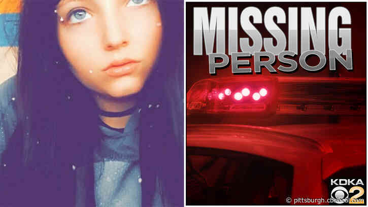 State Police Search For Missing 16-Year-Old Destiny Statler From Greene Co.