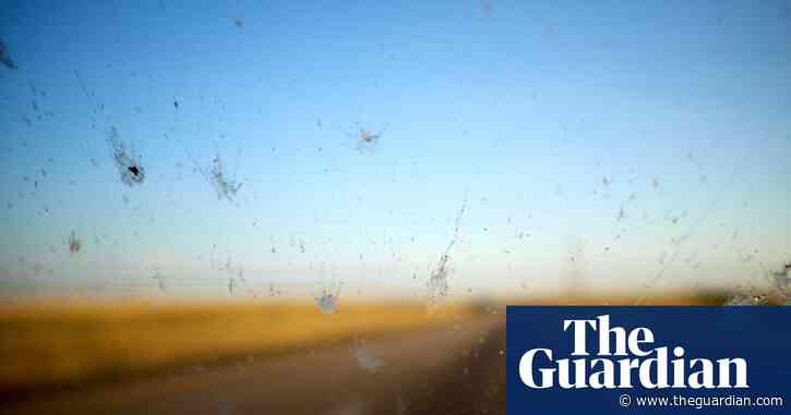 Car ‘splatometer’ tests reveal huge decline in number of insects