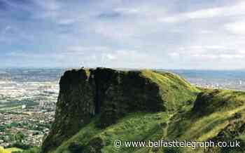 Police praise boys who spotted missing woman on Cavehill