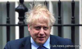 Boris Johnson rejects revolution in favour of modest cabinet reshuffle