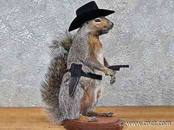 Surprising things people are buying on Amazon right now     - CNET