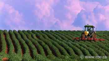 Canada could be a huge climate change winner when it comes to farmland