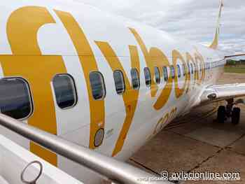 Flybondi aumentará frecuencias entre Buenos Aires y San Pablo - Aviacionline.com