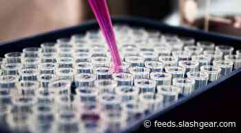 Scientists find compound that may reverse aging fertility in women