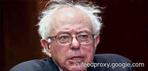 Apple employees donate more to Bernie Sanders in U.S. presidential race