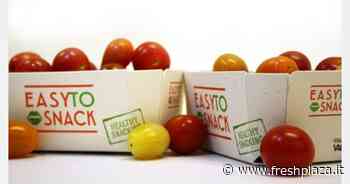 Dall'erba elefante di produzione olandese nasce un imballaggio per ortofrutta - Freshplaza.it