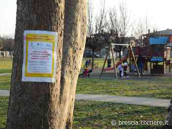 Sfalci d’erba misti ai Pcb, a processo il responsabile del giardinaggio - Corriere della Sera