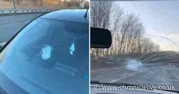 Father and son avoid catastrophe after boy, seven, hurls brick from Washington flyover