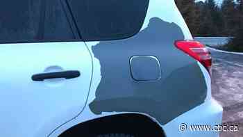 Toyota steps up to fix paint-peeling problem on certain models