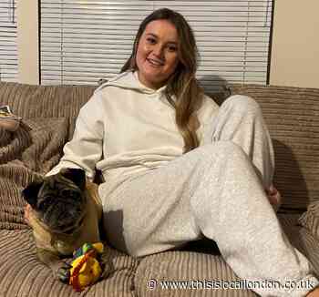 Harefield dogs home appeals for foster carers