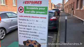 précédent Estaires : de nouveaux panneaux à 1300 euros pour diminuer les déjections canines - L'Indicateur des Flandres