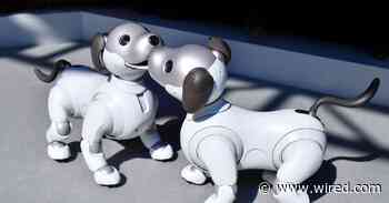 Sony Envisions an AI-Fueled World, From Kitchen Bots to Games