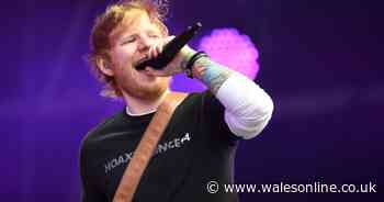 Touts who preyed on Ed Sheeran and Taylor Swift fans jailed after landmark trial