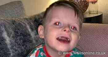 Five-year-old boy in intensive care after suffering 29 seizures in half an hour