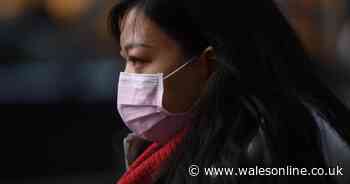 NHS chief on what we need to do to stop spread of coronavirus