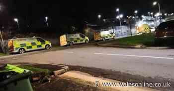 Police officer died after being hit by train while facing disciplinary hearing