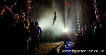 NoFit State Circus is taking over a prominent Cardiff Bay site for a huge show