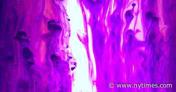 In Trippy Times, Bill Graham Took Care of Reality