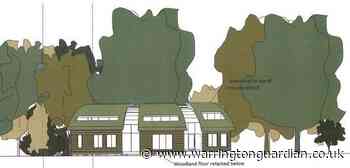 Plans for ‘radical’ home around century-old trees approved