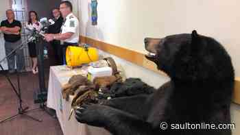 Ontario and Saskatchewan take a hard line on wildlife trafficking