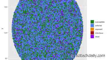 Why Are Bat Viruses So Deadly? Answers to the Question Raised by Coronavirus Outbreak