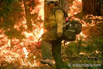 Setting Fires to Avoid Fires: Stanford Finds Approaches to Enable More Prescribed Burns