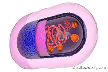 New Antibiotics Discovered With Unique Way to Kill Bacteria