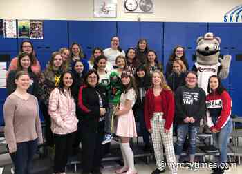 Stoffel named Skyward Central Wisconsin Teacher of the Year - wrcitytimes.com