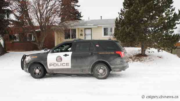 Multiple dogs seized from Marlborough Park home