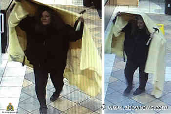 Woman brandishing hammer allegedly robs B.C. Dairy Queen