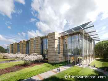 In Governance and Architecture, Let’s Not Regress 2,000 Years - Rivard Report