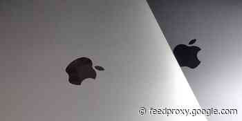 Apple’s bid for rehearing in VirnetX patent case rejected by US Court of Appeals