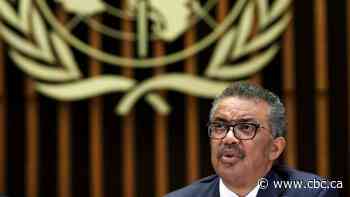 Travel restrictions during outbreak needless and illegal, global law experts say