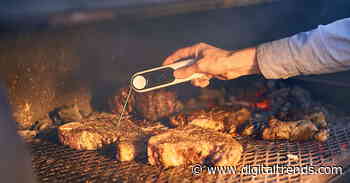 Best meat thermometers for 2020