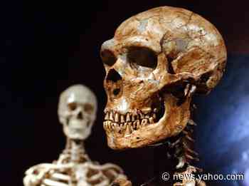 'Ghost population' of ancient humans may have mated with ancestors of modern humans
