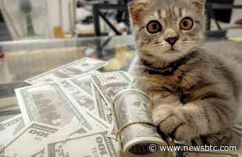 Total Cryptocurrency Market Cap Hits a Staggering $300 Billion: What’s Next? - newsBTC