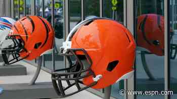 Ohio medical board committee says Browns, Bengals fandom not enough for medical marijuana - ESPN